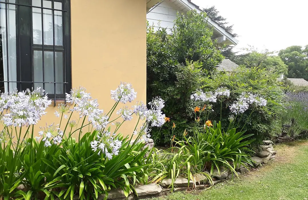 La Caledonia Cabañas Boutique-1