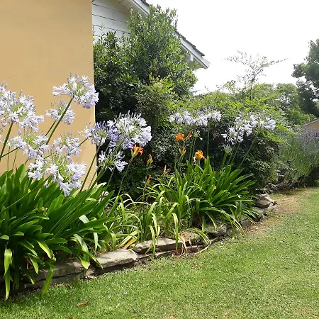 La Caledonia Cabañas Boutique-3